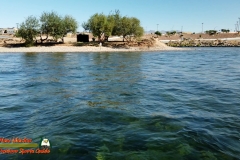 Colorado-River-Goat-Island-Osmo-Pocket-10-13-2020