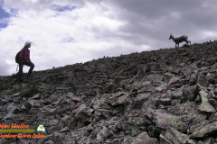 Latir Peak Wilderness