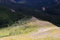 Bighorn