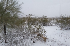 4_8319a8a5b968d766f8561010ae79d7a6