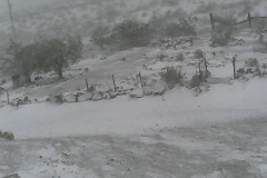 4_aa50785f0fea58b778c51aa90aa8908a