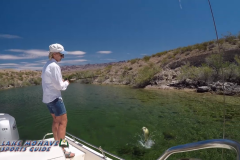 Bass-Fishing-Lake-Mohave-Arizona