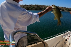 Bass-Fishing-Lake-Mohave-Hero9-04-19-2021