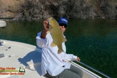 Bass-Fishing-Lake-Mohave-March-28-2021