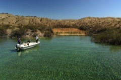 Bass Fishing March 28, 2021