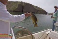 Lake-Mohave-Bass-Fishing-Anafi-03-31-2020