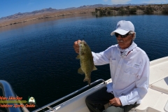 Lake-Mohave-Smallmouth-Bass-Fishing-Hero9-04-07-2021