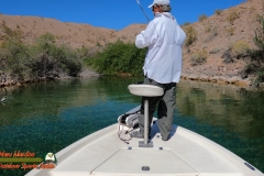 Pat-Lake-Mohave-Bass-Jumping-04-15-2021