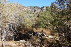 DSC01535