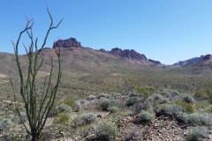 7_0577b44bddda3345a0f74df8f68ff563