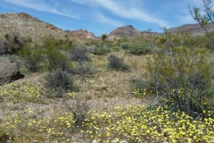 7_0c729847bbc143f791a9af072a3b92e8