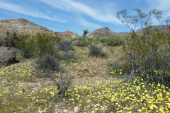 7_3be40f9accf8ec2767ca016d672cb988