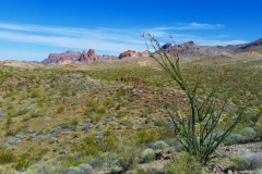 7_55d9262369b28e4b322ae51124a7b8fe