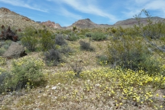 7_64e21ad96e0ecffa499d2f2981e5ef70