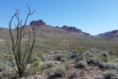 7_9fa8446d2db0e10d1f74bde756a5eb87