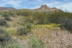 7_adb52a7d3c0695777c631ba47e7d274e