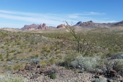 7_bcb9bed2ae251a8fca0b27dd3324d569