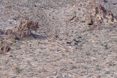 Burros Cave Pottery Find