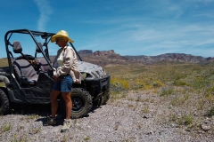 Paulette-Rhino-Black-Mountains-Osmo-04-25-2020-DJI_0047