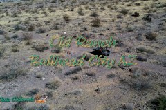 Rhino-The-Old-Ranch