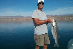 South Lake Mohave