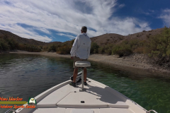 Lake-Mohave-October-Boat-Picnic-Action5-10-24-2024_000928_16 Lake-Mohave-October-Boat-Picnic-Action5-10-24-2024_000928_16