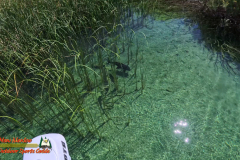 Mid-April-Smallmouth-AcePro2-04-14-2025_000054_03