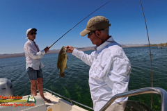 Mid-April-Smallmouth-AcePro2-04-14-2025_000143_07