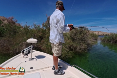 Mid-April-Smallmouth-AcePro2-04-14-2025_000437_16