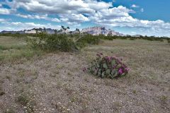 Gimp-P1110167