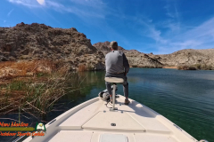 Lake-Mohave-Smallmouth-Sight-Fishing-AcePro2-03-16-2025_000212_04