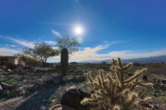 Trout-Pl-Cactus-AcePro2-12-21-2025-IMG_20251221_135726_002