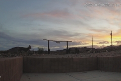 Coyote-5-22-2018