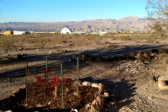 FC111111111:zzzzzz0 b 92 007804386a63784d43481230 a3c1001d7 43 4d33221830a  0  0  0  0 0 0 0 030ac171b1ab7d04f 0300c13eb17e7d04e 0300c0f2b1407d04e 0305c0f0b1397d04f 030ac115b1537d04f 030fc135b1697d04f 0314c15cb17f7d04f 0319c183b18f7d04f 031ec1a2b19d7d04f 0323c1b3b1a37d04f 031ec186b1807d04f 0 334 c2e 32b1133 03b 03f 036 02a403e3136151e14191012 e111312 d c1312 9 9141212 e a c b d191014 e161513111e1c24201f1a2c2424251e2728282922272721261392166a137c164213921612138416261392161213841626138d165a137c160e138d165a137c160e1393178813831713138d15fa137d15f2138a163e13861672138a163e1386167213871555137b15d213871555137b15d2138f14f9137b158a138d15fa137d15f2138a163e13861672138a163e1386167213871555137b15d213871555137b15d2138f14f9137b158a13921642137f158e138a157d137c1592138a157d137c1592138e164a13801616138e164a13801616138b168b137a160613921642137f158e138a157d137c1592138a157d137c1592138e164a13801616138e164a13801616138b168b137a1606138c16f3137d1747139316b7137c1753139316b7137c1753138f1788137a176b138f1788137a176b138915ee13801626