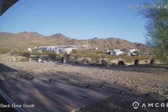 Codorniz-07-27-2019