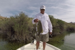 Lake-Mohave-Island-Pocket-Small-April-2019