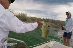 Lake-Mohave-Smallmouth-Bass-Fishing-4-10-2019