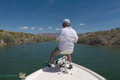 Long-Bank-Big-Pocket