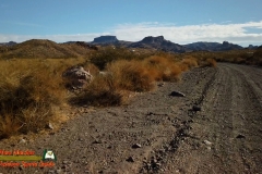 Old-Wagon-Trail-Daily-Walk-Osmo-Pocket-12-10-2020