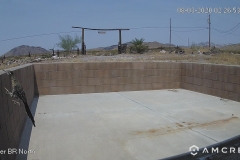 Roadrunner-08-03-2020