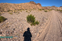 The-Walk-Hero12-10-31-2023-mpv-shot0002