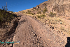 The-Walk-Hero12-10-31-2023-mpv-shot0003