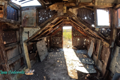 The-Walk-Hero12-10-31-2023-mpv-shot0004