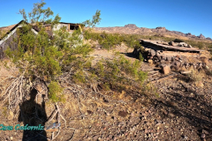 The-Walk-Hero12-10-31-2023-mpv-shot0005