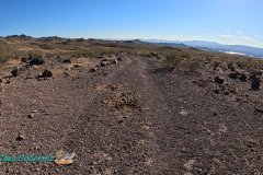 The-Walk-Hero12-10-31-2023-mpv-shot0007