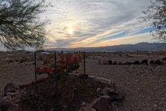 Evening-Desert-Walk-AcePro-12-14-2024-VID_20241214_161657_010_000229_03