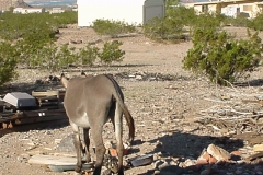 6_2b70d0dd4d589b6566666f1aa71132dd