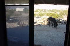 6_da641b2f6eb7ed5f0044bfed06e32125