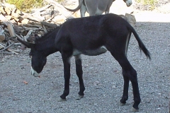 6_f336ccca1470a4063faff797f93bcb6b