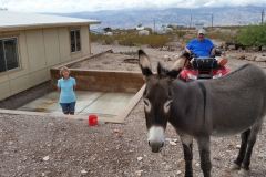 13_9373612606bbe75d58d1ed53076cda53